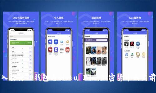 深入探讨TP钱包与Kishu Inu：加密货币的新前沿