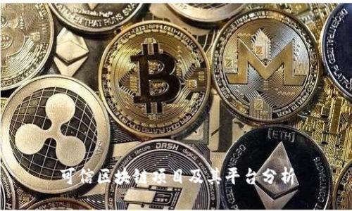 可信区块链项目及其平台分析
